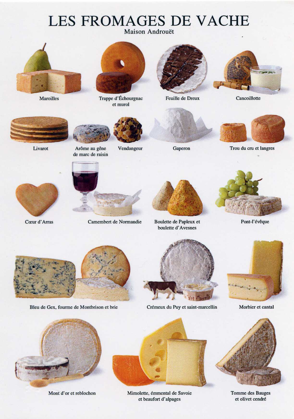Швейцарский сыр - виды швейцарских сыров, описания, фото