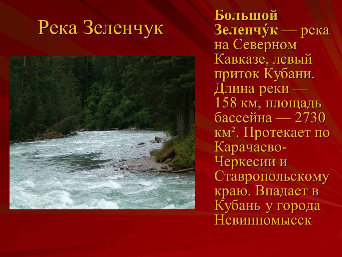 Зелёный борщ с щавелем и яйцом: рецепт с фото пошагово