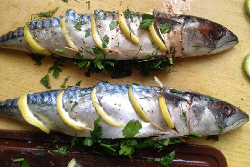 Провесная скумбрия: что это такое, рецепт очень вкусной рыбы в домашних условиях