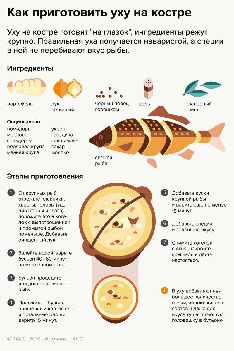 Какая рыба лучше для ухи: самая вкусная