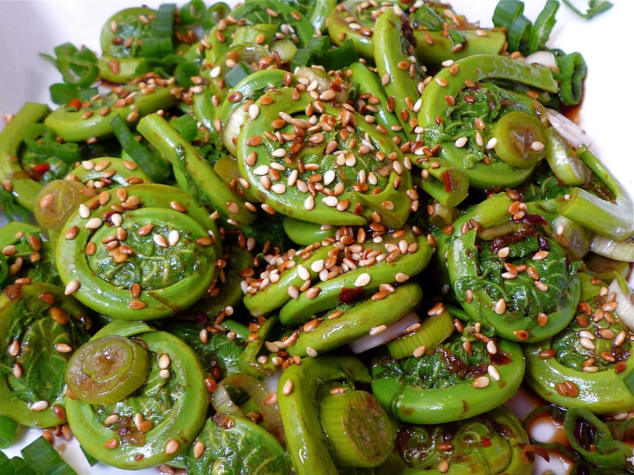 Блюда из папоротника. Fiddleheads. Папоротник блюдо. Папоротник закуска.