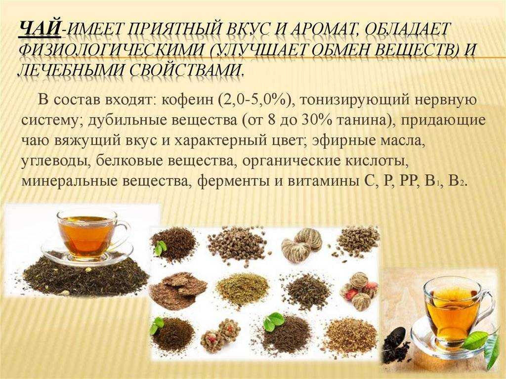Черный чай: польза и вред для здоровья, чем полезен для организма человека