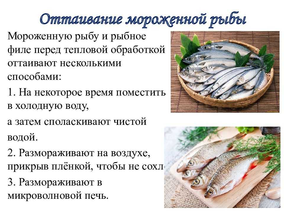 Организация обработки рыбы. Обработка рыбы. Способы обработки рыбы. Обработка рыбы и морепродуктов. Технология первичной обработки рыбы.