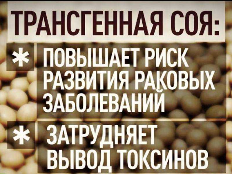 Соя полезна или вредна: польза и вред бобов для женщин