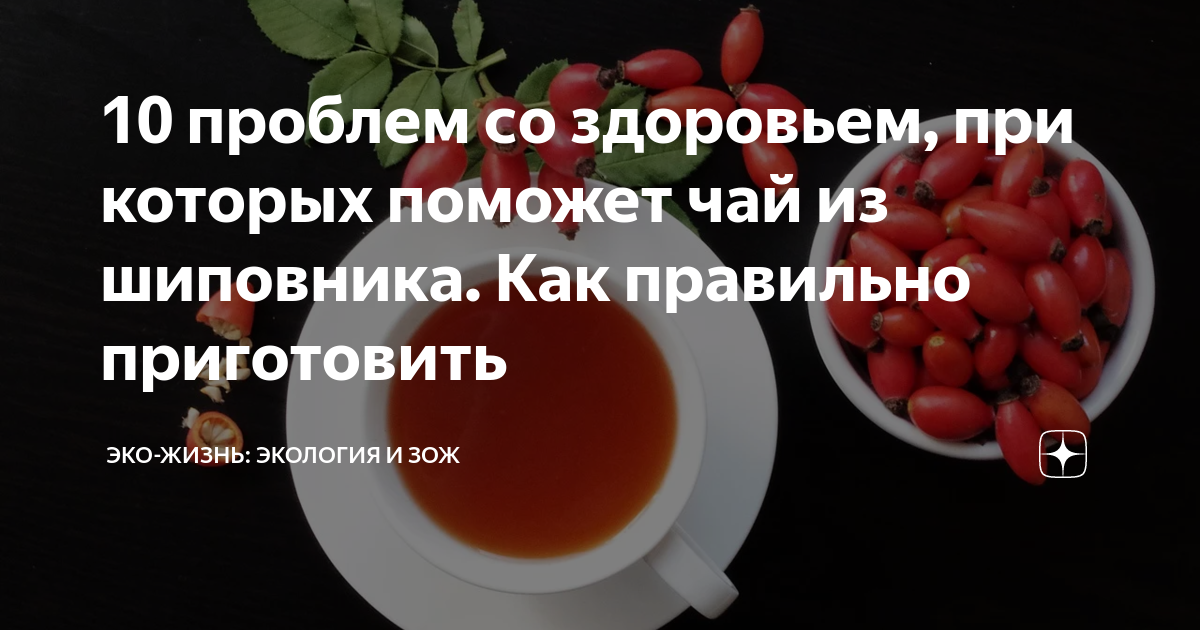 Как заваривать и пить шиповник сушеный. Как правильно заваривать шиповник. Как заваривать шиповник. Шиповник как правильно заваривать и пить. Как заваривать шиповник сушеный правильно.