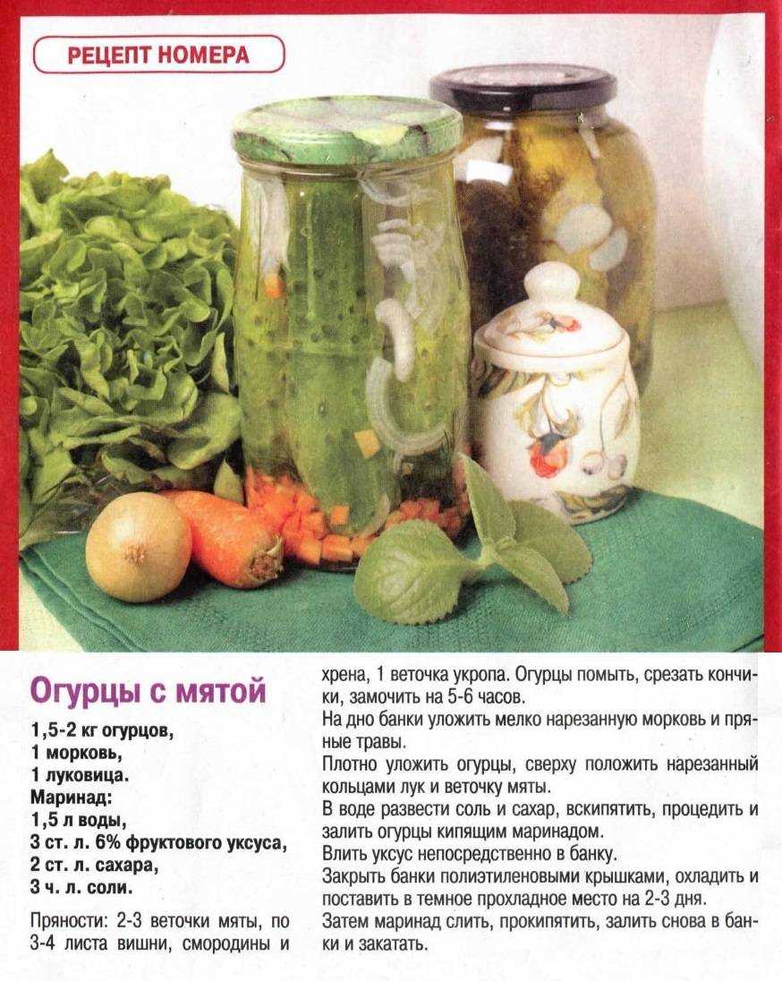 Дайкон рецепты приготовления горячих блюд: вкусный дайкон: рецепты приготовления – блюда и рецепты с фото, пошагово просто, вкусно, быстро. —  старый друг — ресторан, караоке-клуб