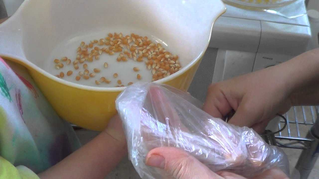 Сушёная кукуруза что из нее можно делать