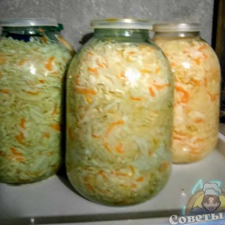 Капуста квашеная на зиму рецепты очень вкусно в банке хрустящая