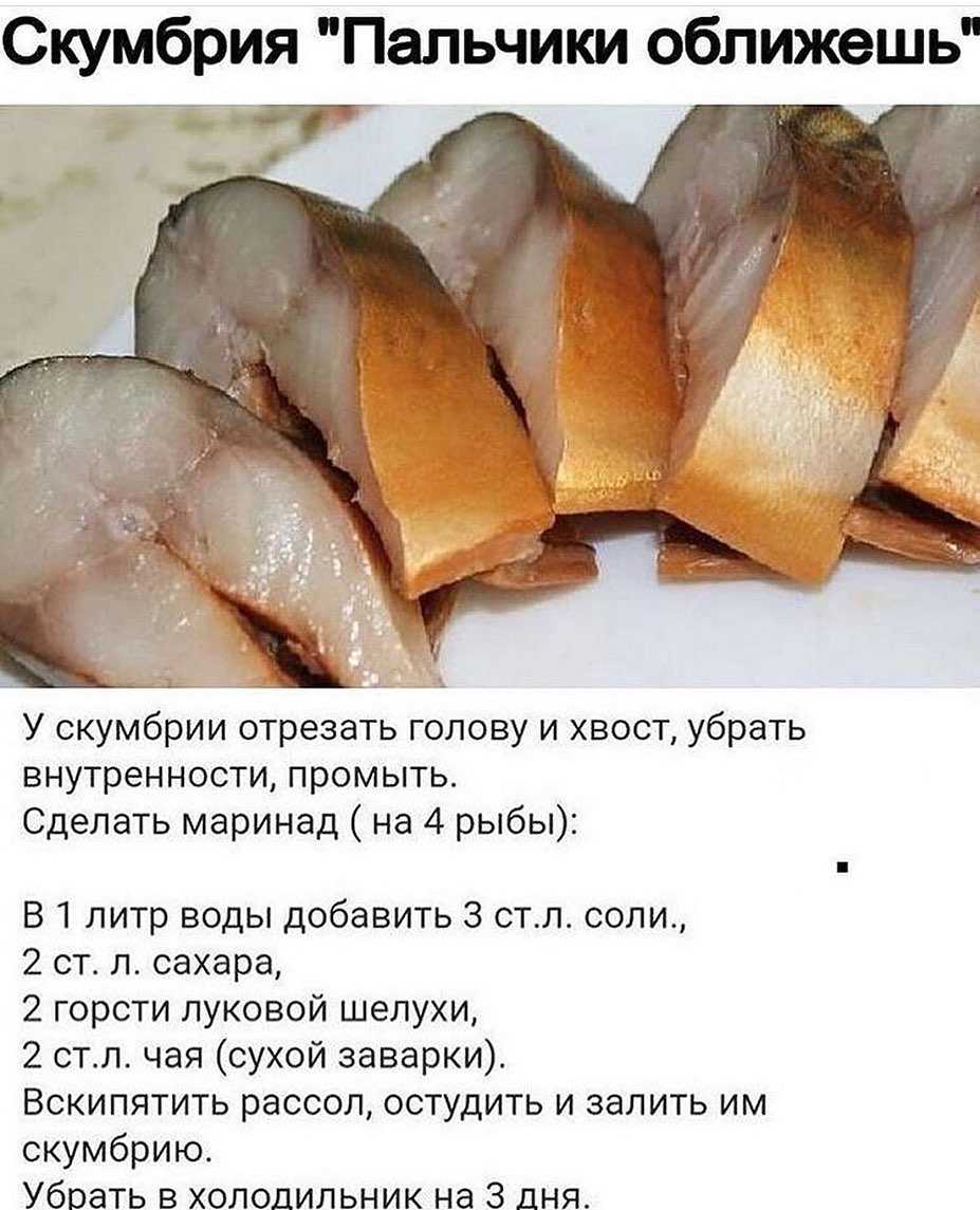 Скумбрия провесная