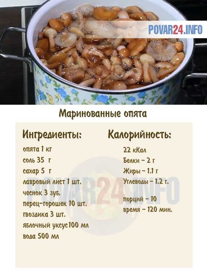 Маринованные опята на зиму: самые вкусные рецепты приготовления