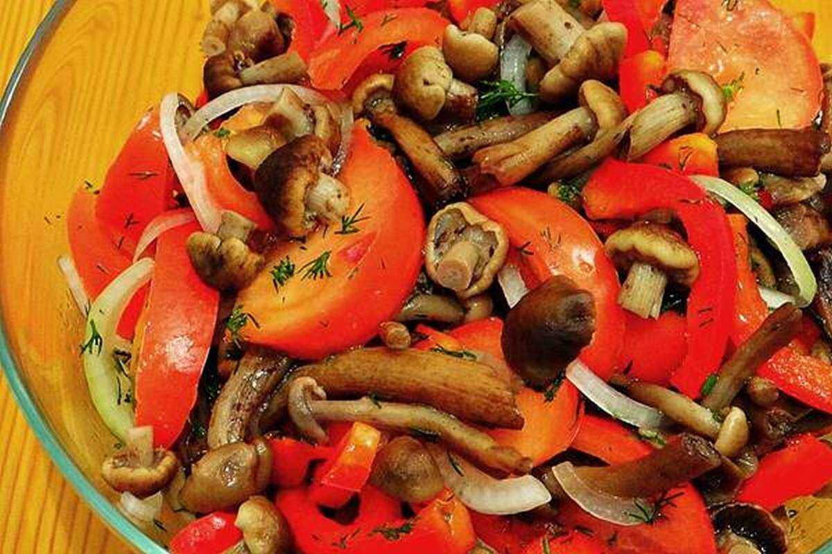Маринованные опята на зиму — самые вкусные рецепты приготовления
