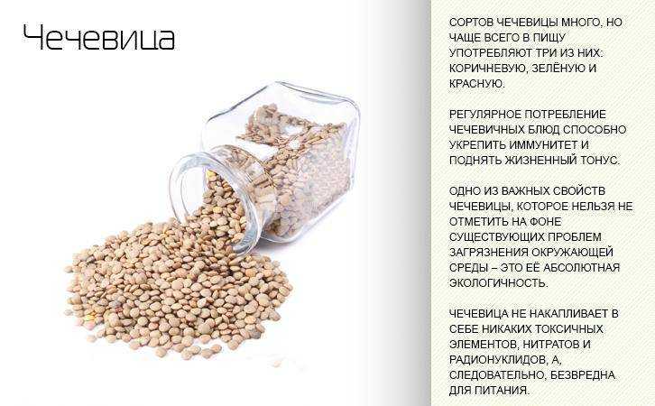 Чечевица - полезные свойства, состав и противопоказания (+ 17 фото)