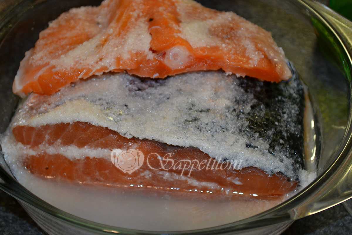 Как засолить семгу вкусно в домашних условиях: рецепты сухой засолки и в маринаде