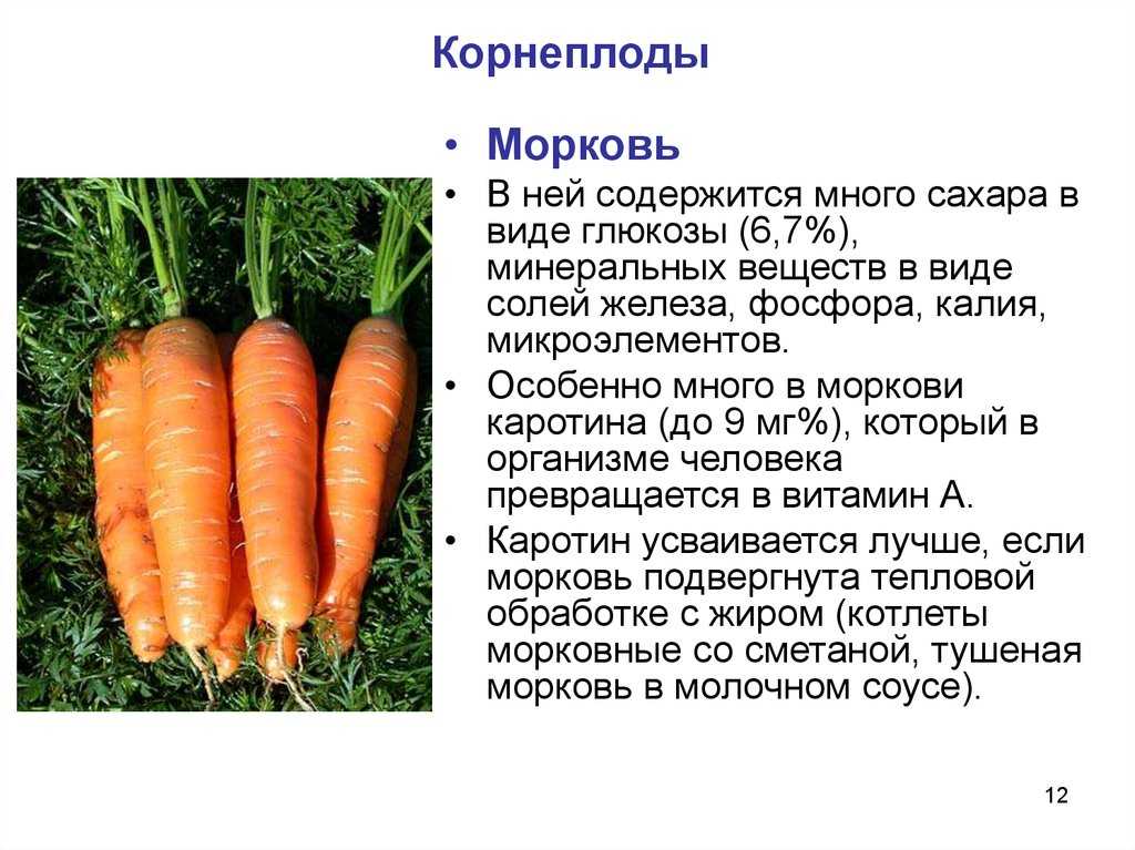 10 рецептов форшмака из селедки, который тает во рту