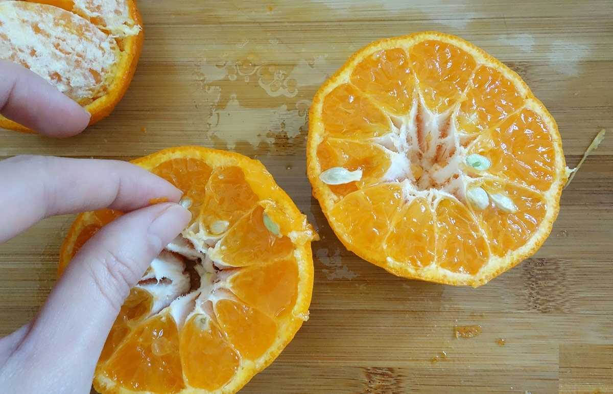 фото домашний апельсин из косточки
