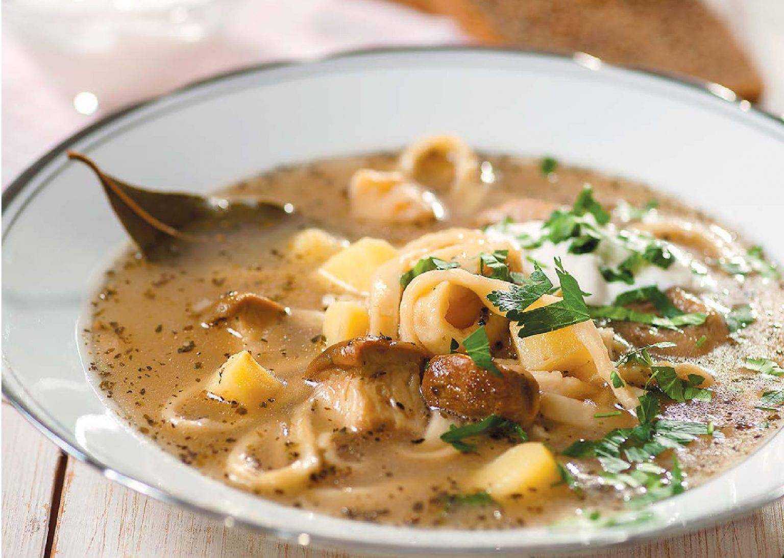 Грибной суп из сушеных грибов: 10 самых вкусных рецептов