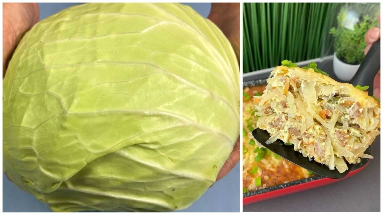 Тушеная капуста с курицей, морковью, луком и помидорами