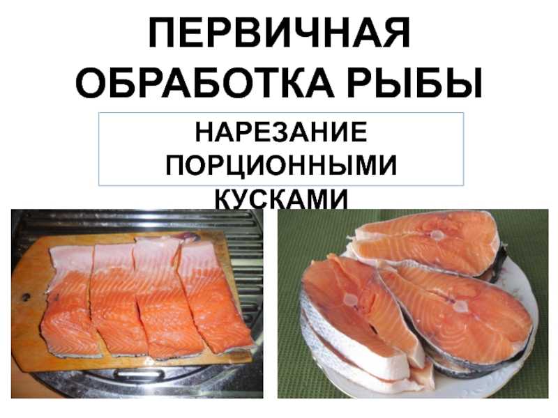 Организация обработки рыбы. Первичная обработка рыбы. Нарезание рыбы на порционные куски. Схема обработки рыбы. Обработка рыбы на порционные куски.