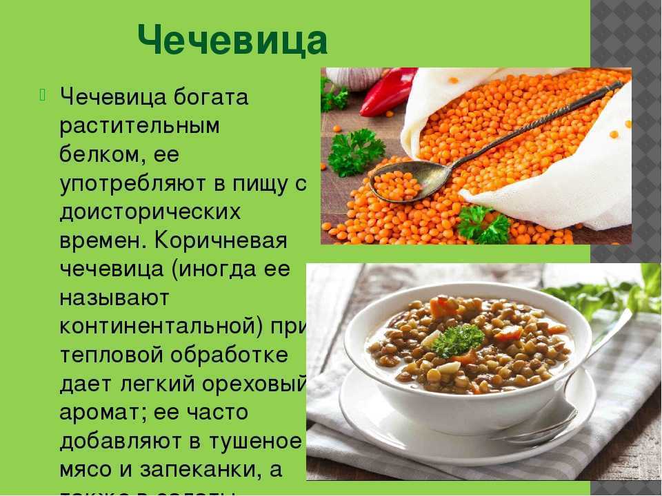 Чечевица: польза и вред для здоровья человека