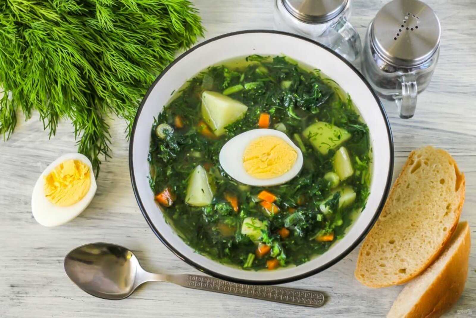 Красный борщ со щавелем в мультиварке рецепт с фото пошагово - 1000.menu