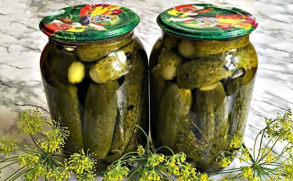 Маринованные хрустящие огурцы: 14 самых вкусных рецептов на зиму