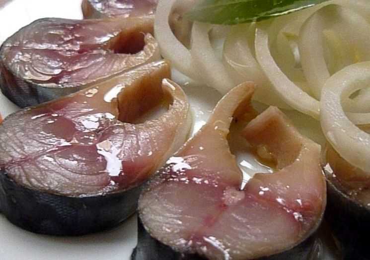 Как засолить скумбрию: 5 рецептов в домашних условиях