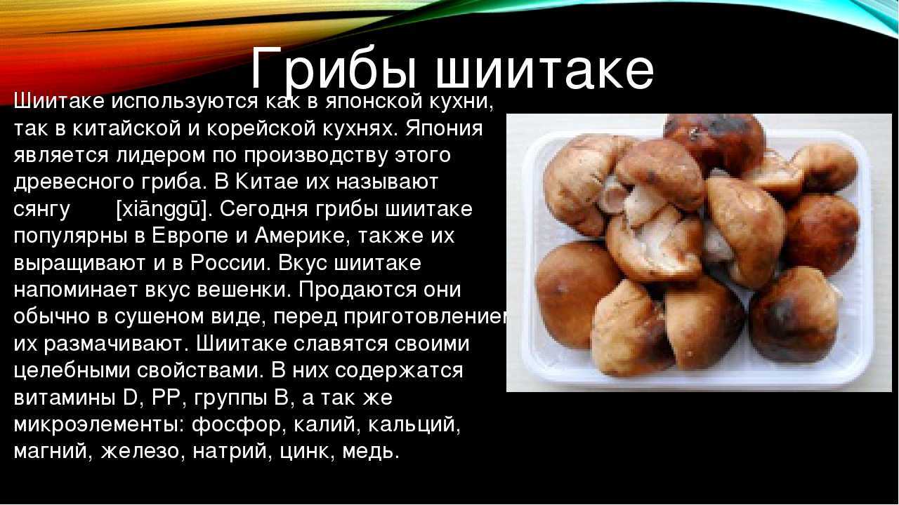 Мисо-суп с шиитаке: рецепты с сушеными и свежими грибами | диеты и рецепты