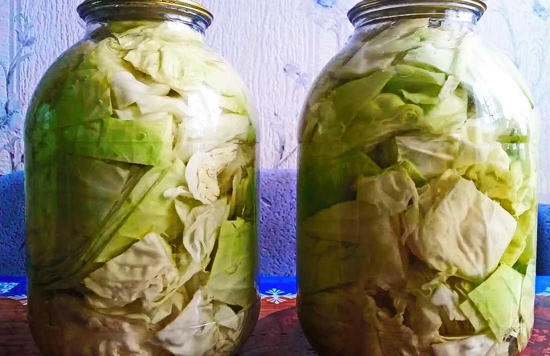 Очень вкусная квашеная капуста: 7 простых способа приготовления хрустящей и сочной капусты