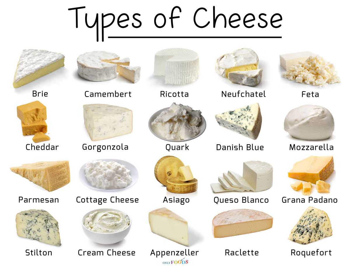 Самые вкусные сыры. рейтинг самых известных сортов. какой самый вкусный сыр в мире?