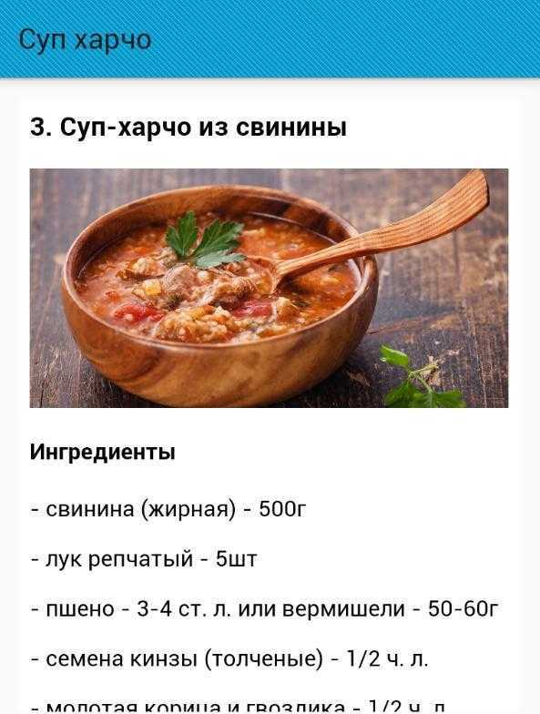 Сколько риса надо на суп. Рецептура харчо. Харчо рецепт из свинины. Суп харчо рецепт приготовления в домашних. Суп харчо рецепт приготовления пошагово.
