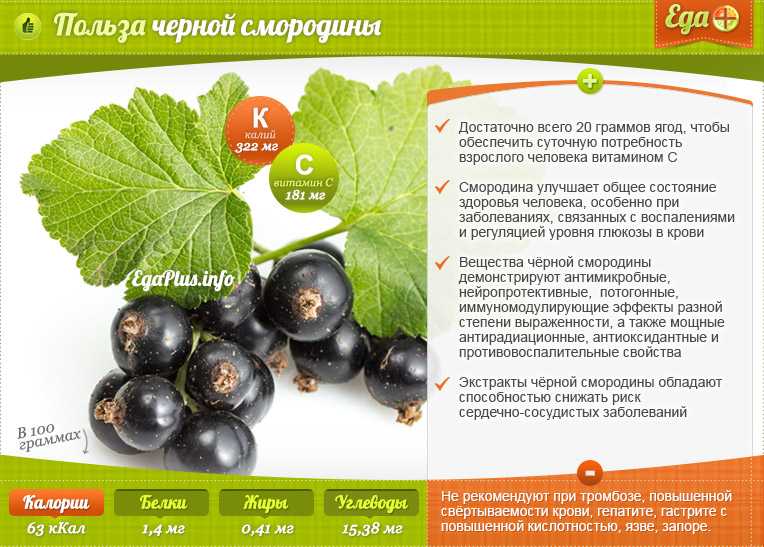 Рецепты компота из красной смородины на зиму без стерилизации