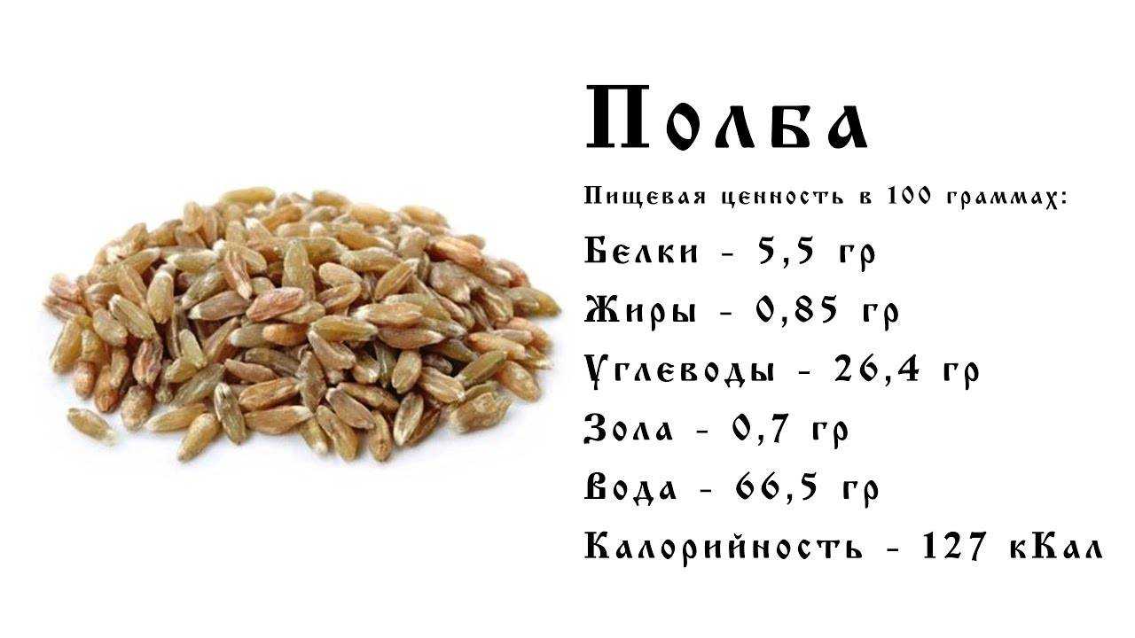 Пшеница состав белки. Полба крупа калорийность на 100. Полба БЖУ на 100 грамм. Полба калорийность на 100. Полба калорийность на 100 грамм вареной на воде.