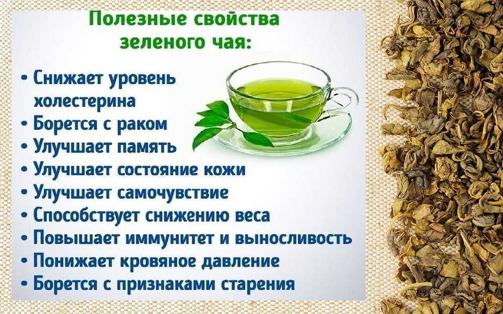 Вред и польза крепкого черного и зеленого чая для организма