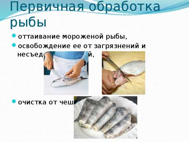 Тест обработка рыбы. Обработка рыбы. Схема первичной обработки рыбы.