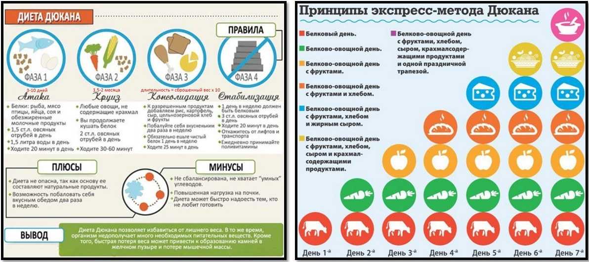 Белковая диета пьера дюкана для похудения: суть, фазы, разрешенные продукты, рецепты и противопоказания