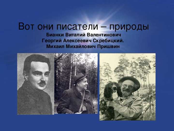 Как приготовить зеленый борщ со щавелем и яйцом — 6 простых рецептов с различными ингредиентами