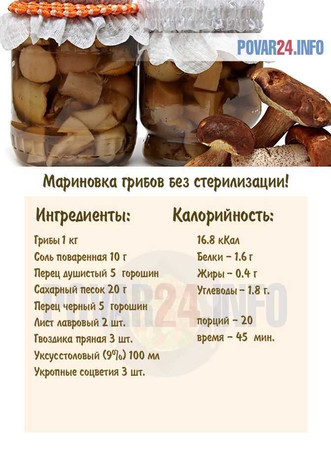 Маринованные грибы на зиму — 12 простых рецептов в банках