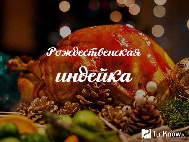 Индейка в духовке: рецепты приготовления сочной и мягкой индейки
