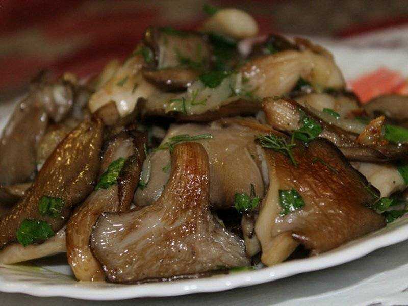Как готовить вешенки - быстрый и вкусный рецепт