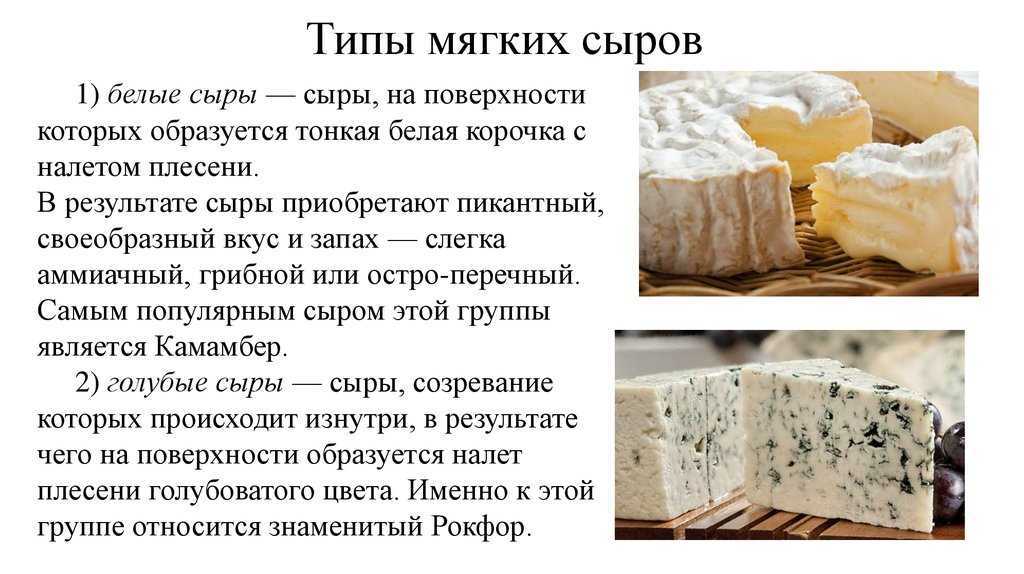 Виды сыров 🧀| использование, хранение, сорта и вкус