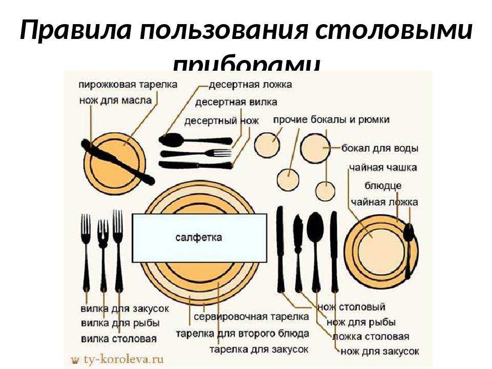 Как правильно есть устрицы: рецепты лучших моллюсков