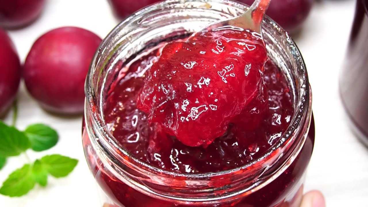 Желе из сливы на зиму – 7 простых рецептов (без косточек)