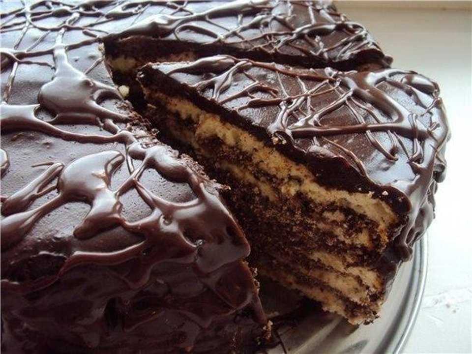 Консервированные помидоры – самые вкусные рецепты. торт «черный принц