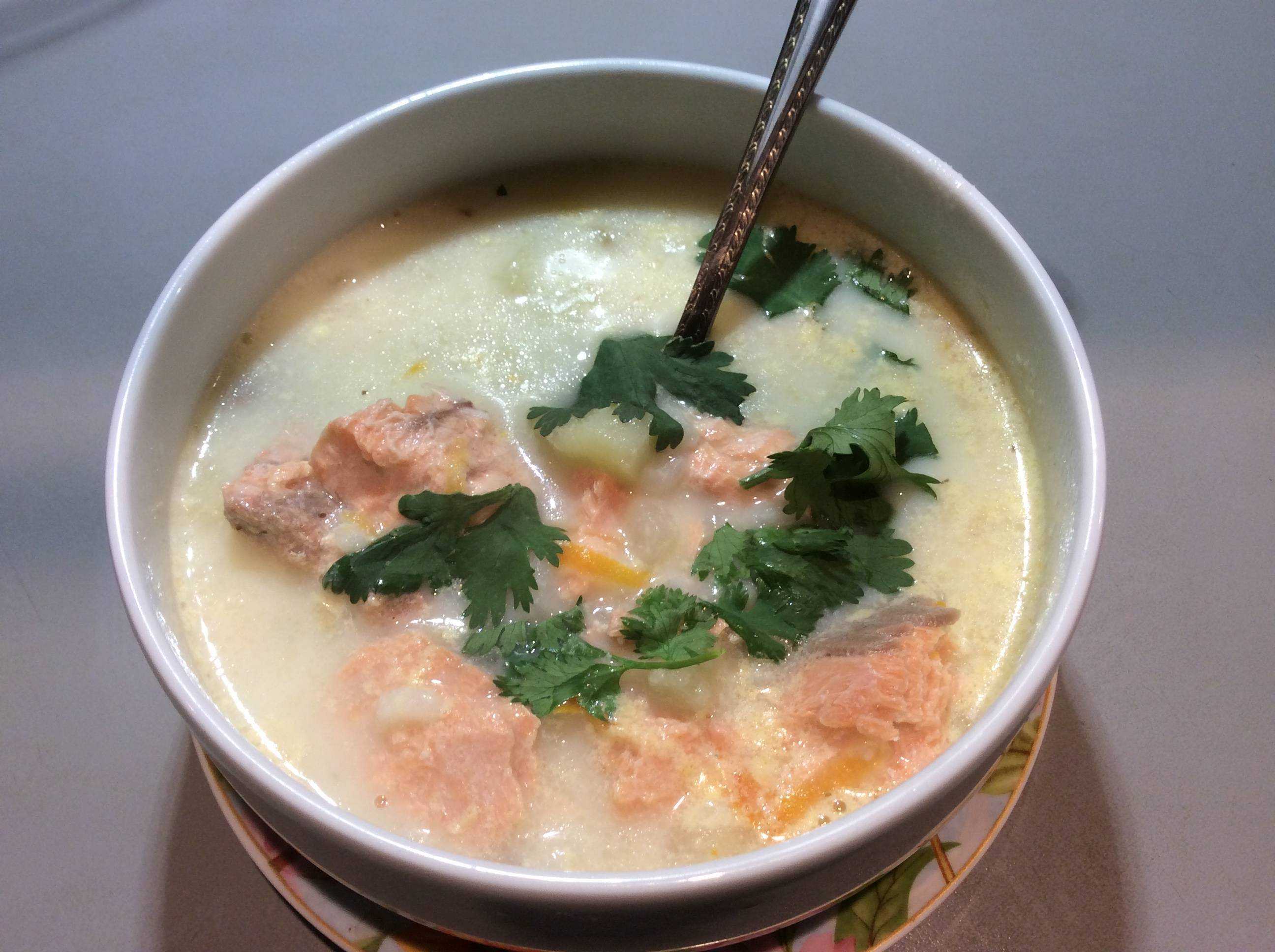 Простые и вкусные пошаговые рецепты супа из форели