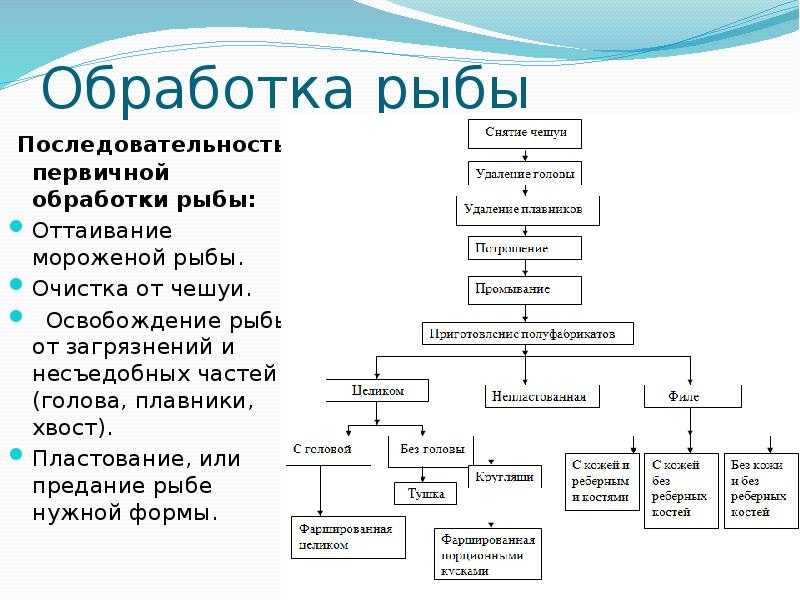Первичная обработка