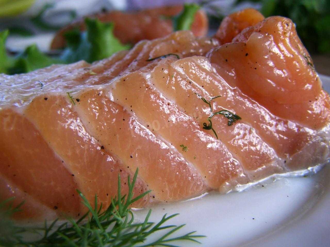 Засолить семгу вкусный рецепт. Рыба Балтийский лосось. Лосось малосольный. Брюшки лосося слабосоленые. Засолка лосося.