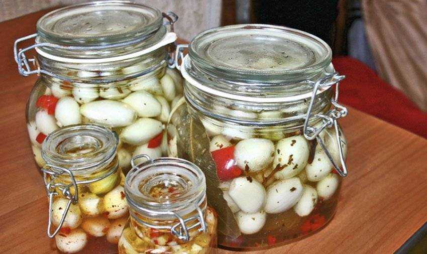 Маринованный лук на зиму: лучшие рецепты заготовок