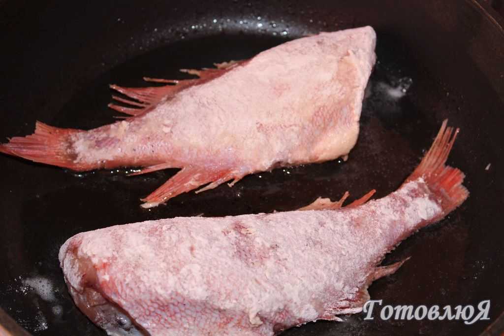 Морской окунь в духовке — 11 рецептов как приготовить вкусно и просто