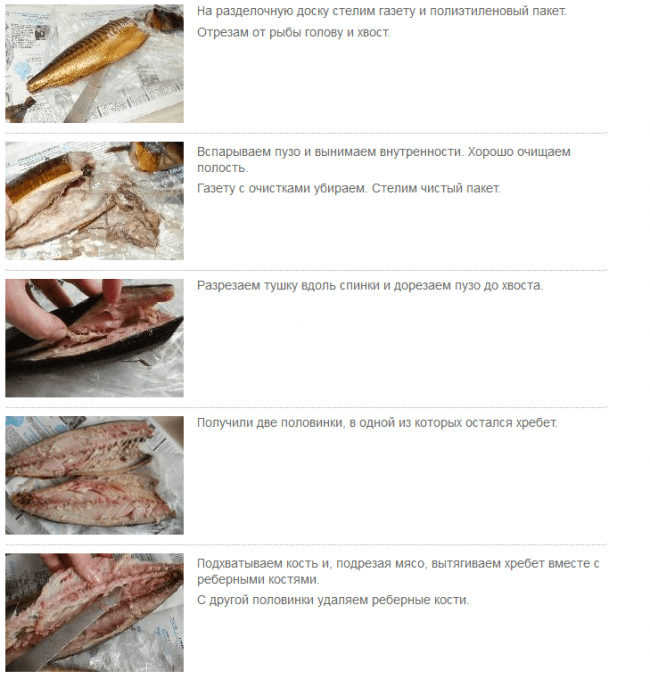 Как разделать скумбрию на филе от костей. Разделка рыбы скумбрия. Разделать скумбрию на филе. Способы разделки скумбрии. Разделанная рыба скумбрия.