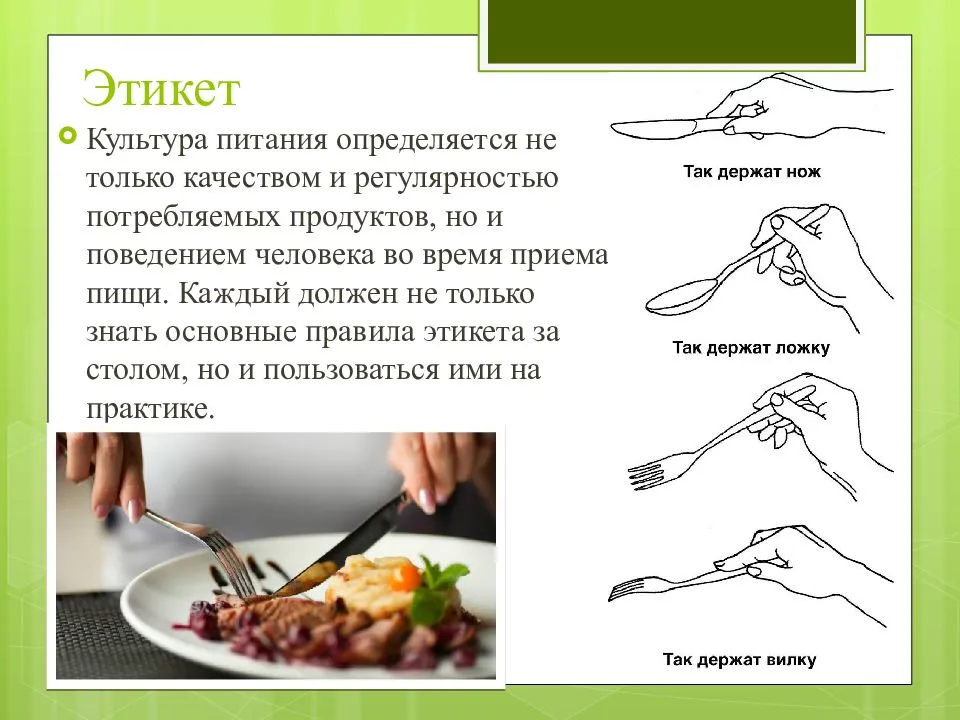 Съедобные улитки, как их приготовить и с чем, какие бывают виды